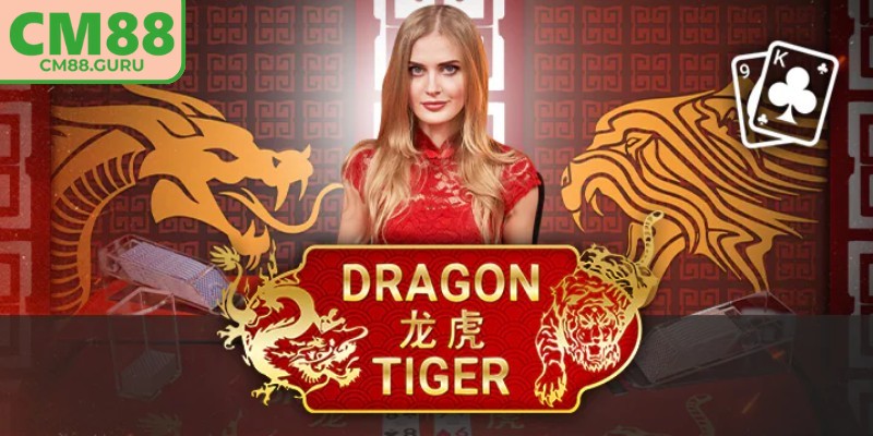 Dragon Tiger CM88 lựa chọn lý tưởng cho cược thủ mới
