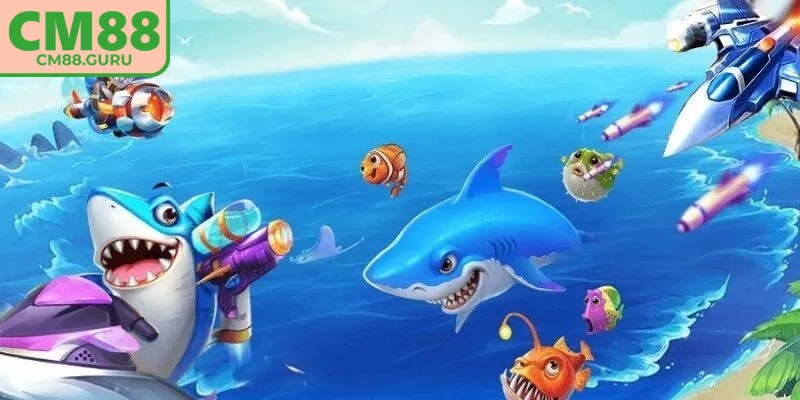 Quan sát quỹ tích lũy để xác định thời điểm tham gia