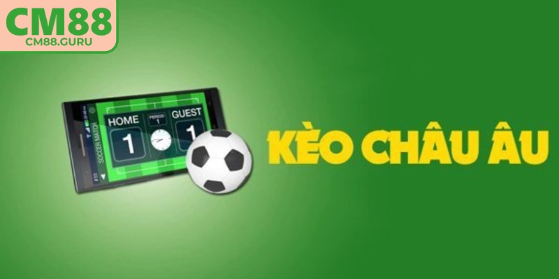 Người chơi cần hiểu rõ cách tính lợi nhuận và phân tích thực lực đội bóng