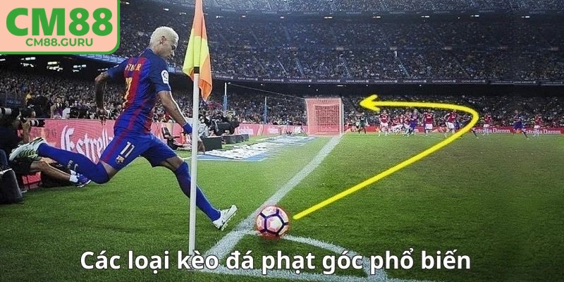 Sự đa dạng trong bảng cược giúp người chơi có nhiều lựa chọn phù hợp