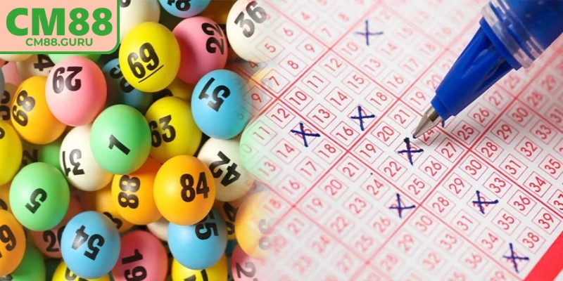 Mô hình quả trám phù hợp với người đã có kinh nghiệm