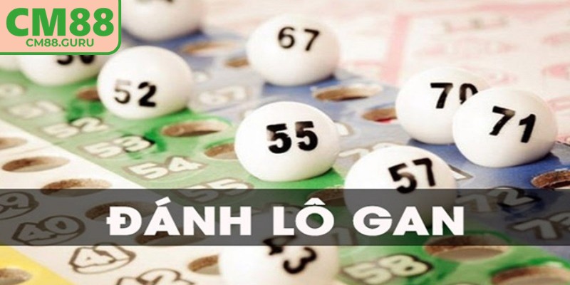 Phương pháp nuôi lô gan theo khung giờ cố định
