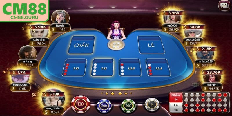 Người mới nên đi theo những người dùng đang có chuỗi thắng